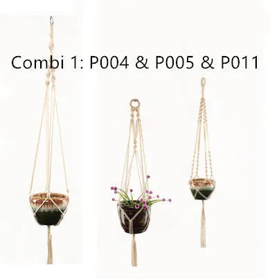 Woven wire lattice plant holder with natural cotton rope, shown in a rustic style supporting a green plant.