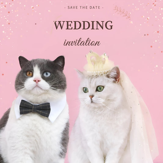 Cat wearing a princess crown headdress with a choice of beige or pink veil