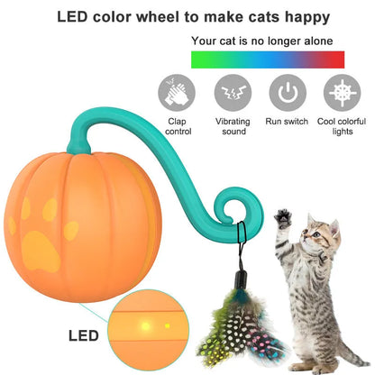 Electric cat teasing ball with automatic rolling motion and flashing LED lights in plastic construction