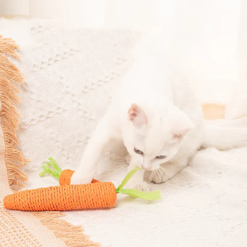 Set of interactive cat toys including carrot bites, paper toys, ringing stones, and sticks in two sizes.