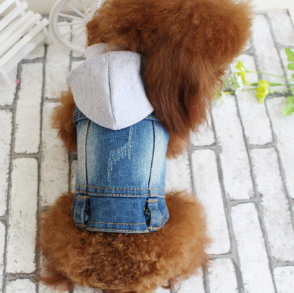 Stylish denim dog jacket with customizable options like hoods, fringes, and patterns for fashionable pet wear