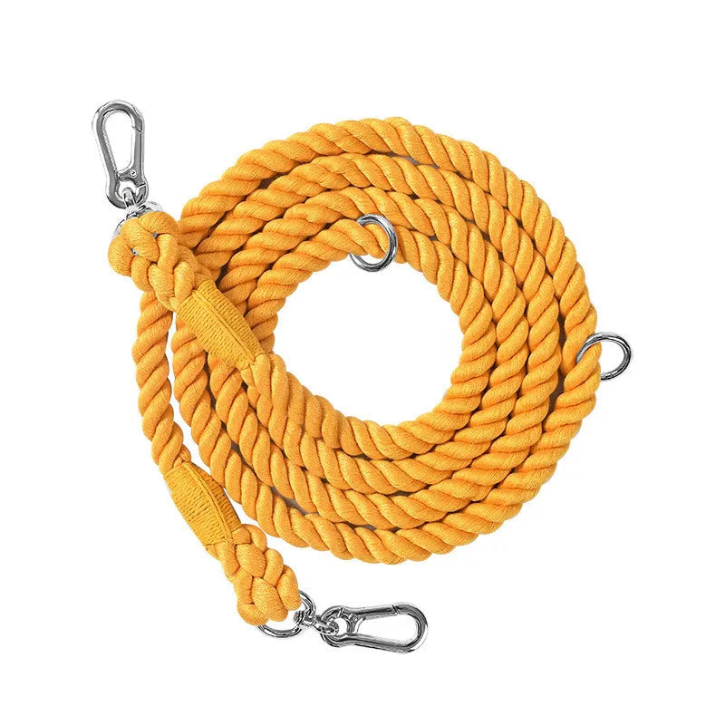 Woven rainbow pattern dog leash with double grip handles and a metal clasp.