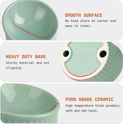 Ceramic raised cat bowl in light green, showing elevated tilted design for pet feeding.