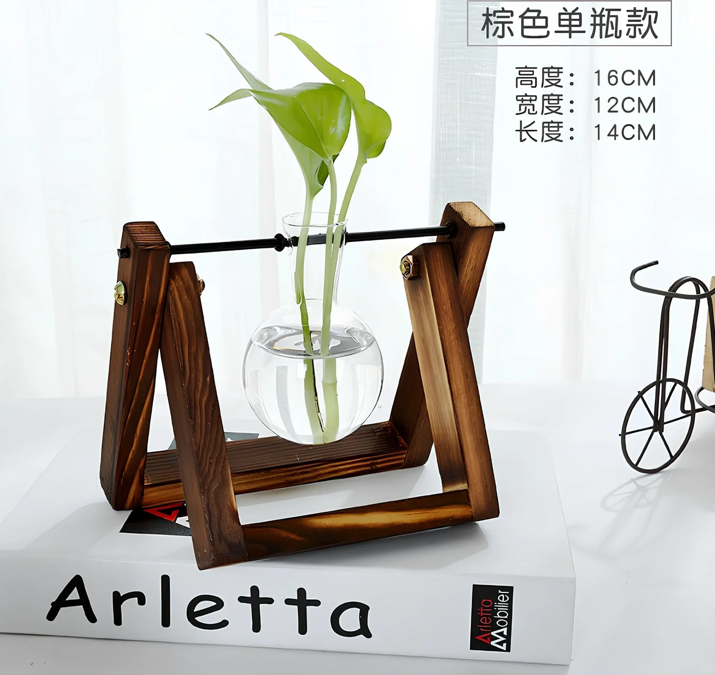 Glass tabletop plant with LED lighting showing colour-changing effects in tempered glass enclosure