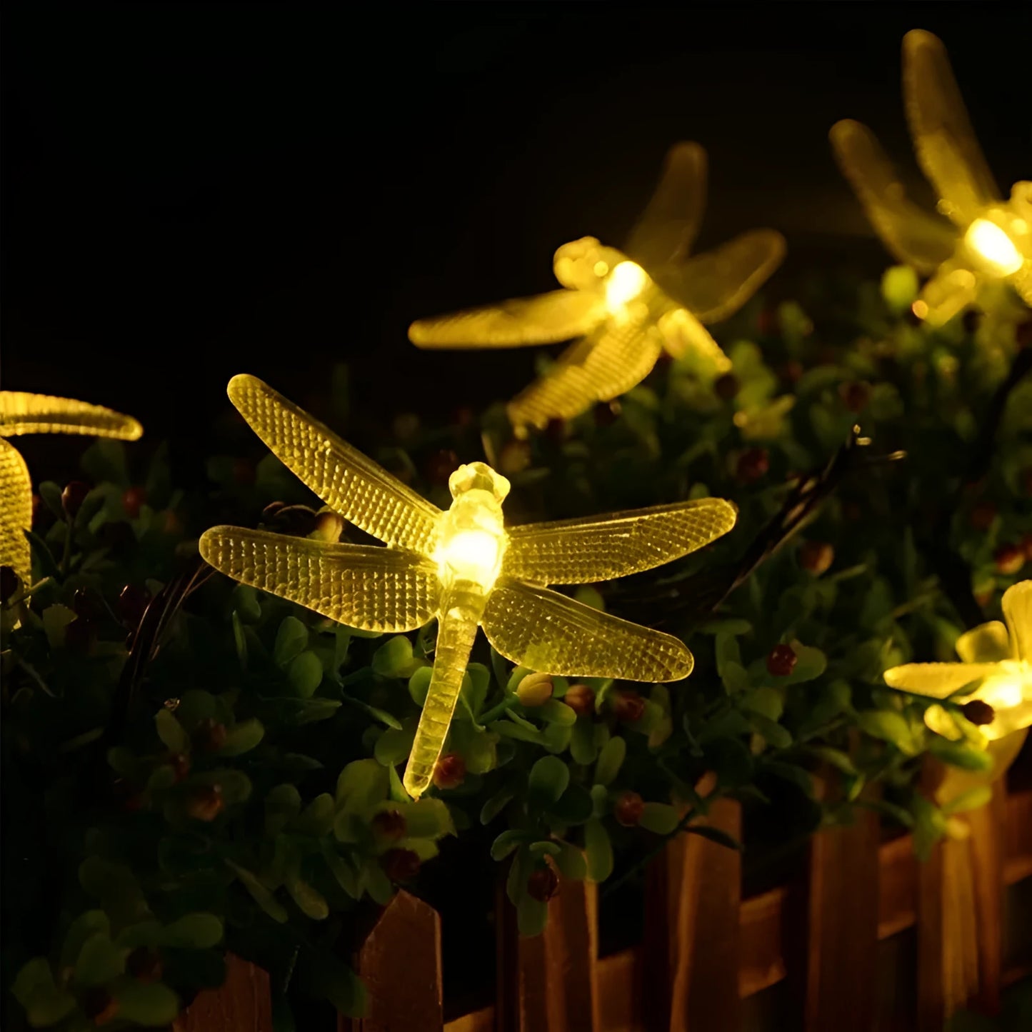 Outdoor solar powered dragonfly LED string lights with 20 warm white lights on 5 metre cable