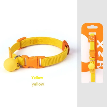 Small dog wearing elastic polyester collar in sky blue colour, showing stretch fit around neck