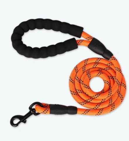 Reflective nylon dog leash in multiple colors for nighttime safety