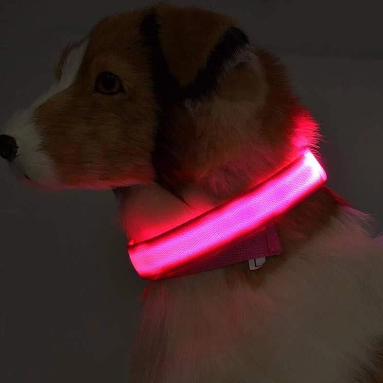 Nylon LED dog safety collar with illuminated fibre optic lights in blue colour, adjustable buckle, and waterproof construction