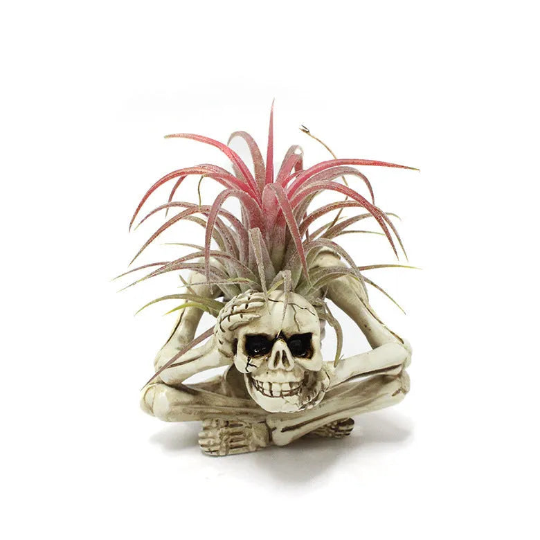 Resin skull bracket holder for air plants with iron wall mounting hook