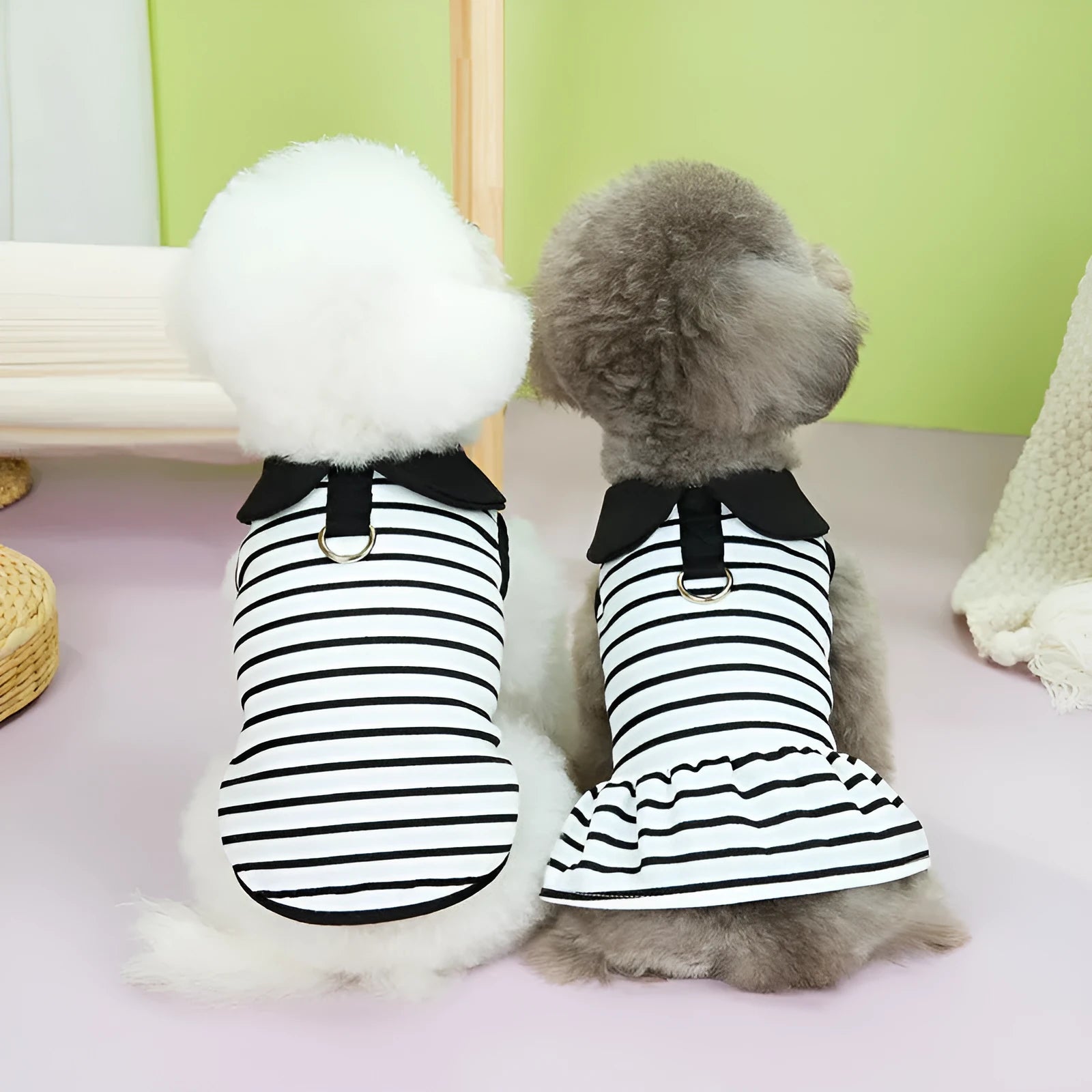 Striped cotton T-shirt and matching skirt for dogs in summer pet clothing set