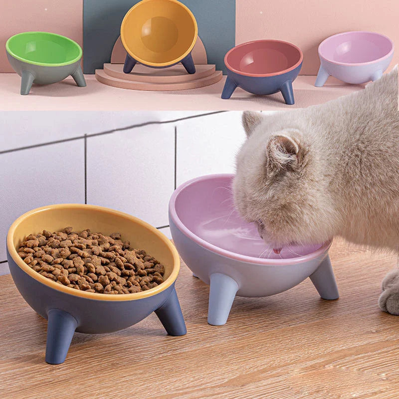 Tilted pet feeding bowls with sturdy stand in various colors, including green, yellow, red, and pink