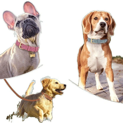 Double-layer leather dog collar with mohair lining in rose red, brown, and blue colours with matching lead