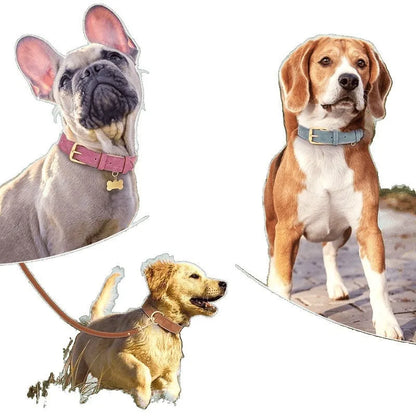 Double-layer leather dog collar with mohair lining in rose red, brown, or blue, adjustable for dogs 7-65 pounds, includes traction rope