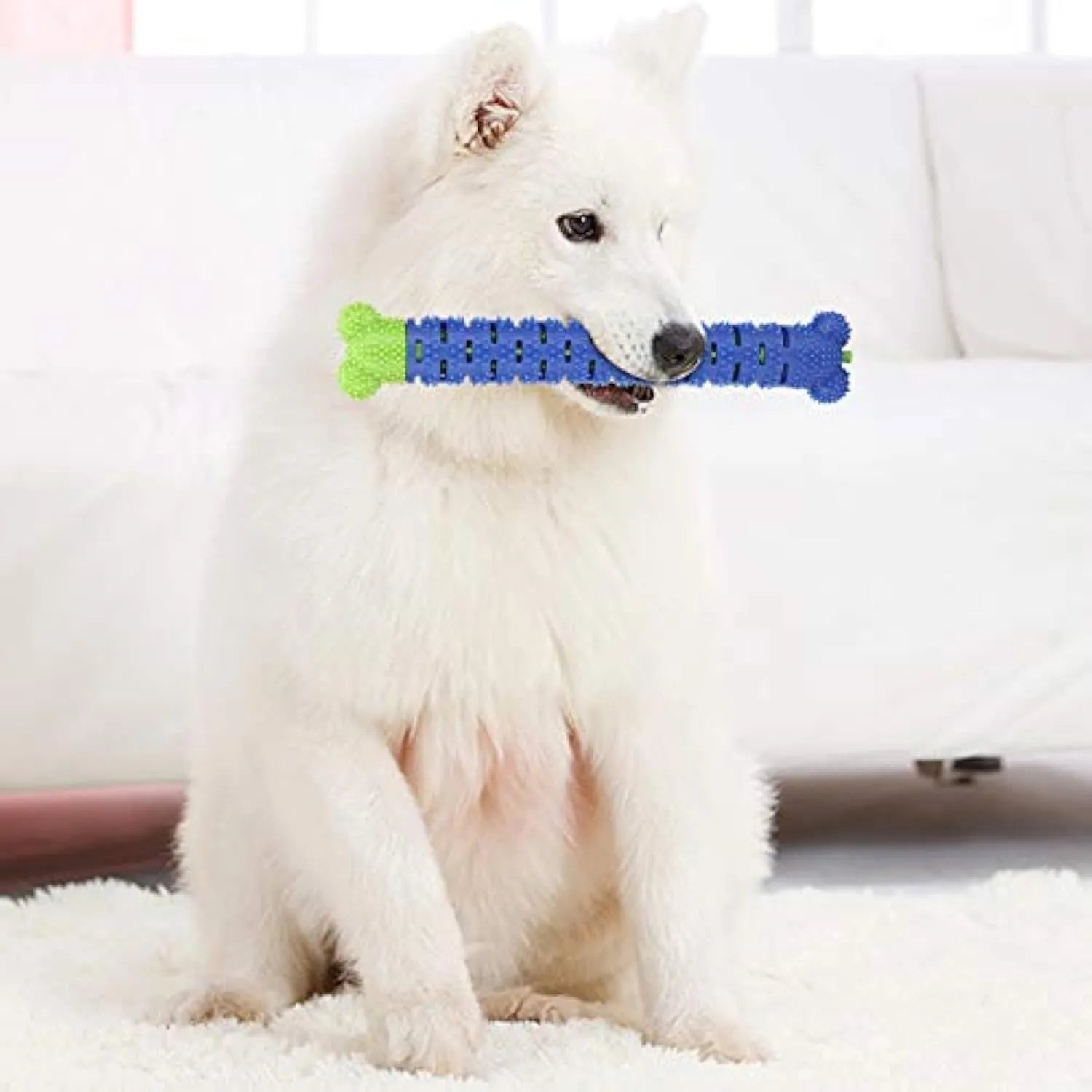 Blue Green Pet Molar Tooth Cleaner for dogs with serrated brush head and nodules, 25cm long