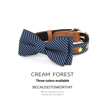 Cotton dog collar with detachable bow in Dark Blue, showing optional leather lettering and 2cm wide rope