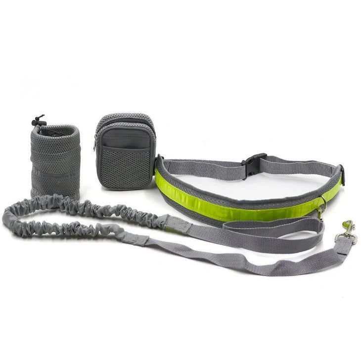 Adjustable hands-free dog leash set in gray, black, green, or red with waist and sundries bags