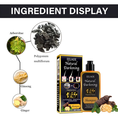 100ml boxed bottle of Polygonum Multiflorum Shampoo for white to black hair transformation.