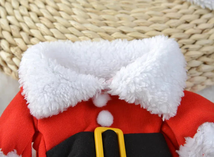 Red polar fleece Santa Claus costume for pets on dog with Christmas background