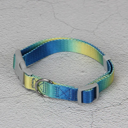 Gradient colour nylon dog leash showing pink-blue colour transition with metal attachment clip