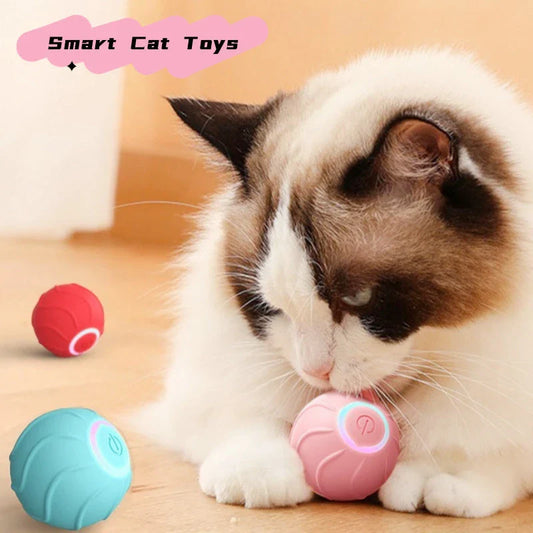 Automatic self-rolling interactive cat toy ball in blue, red, and pink colors with USB charging and bouncing action to engage cats