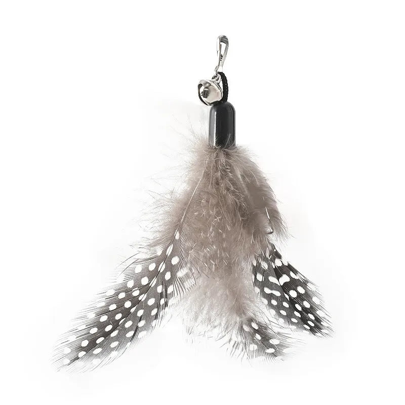Interactive cat teasing stick toy with wooden handle, spring attachment and replaceable feather bell head for playful kitten entertainment and exercise, available in black, grey, pink and white colour options.