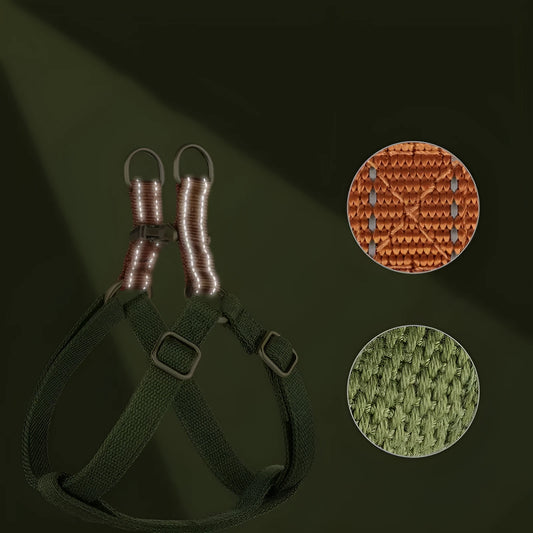 Brown vest-style dog leash with chest harness and alloy fastener on a dog.