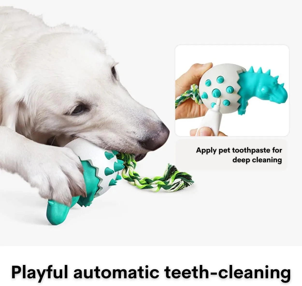 Blue durable dog teething toy with interactive rope, dinosaur design, for aggressive chewers