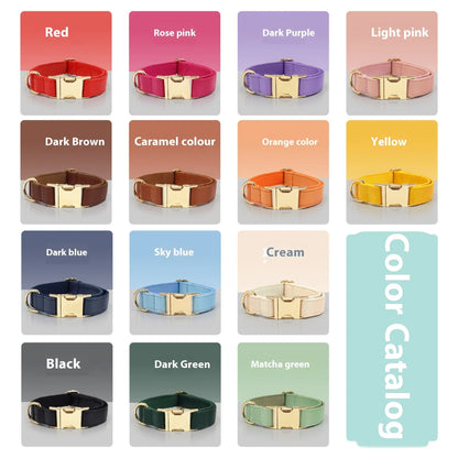 Velvet leather dog collar with colour block design showing buckle fastening in available colour options