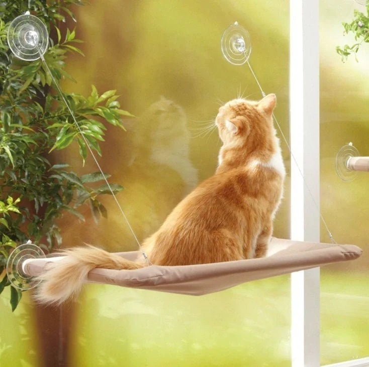 Window-mounted cat hammock with sturdy cloth cover, perfect for sunny lounging