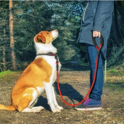 Reflective dog leash with foam handle showing 1.5m length and zinc alloy hook