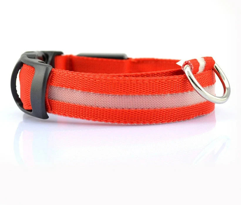 Nylon LED dog safety collar with illuminated fibre optic lights in blue colour, adjustable buckle, and waterproof construction