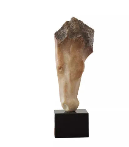 Abstract horse head sculpture with carved surface, measuring 14x12x50cm for desktop display