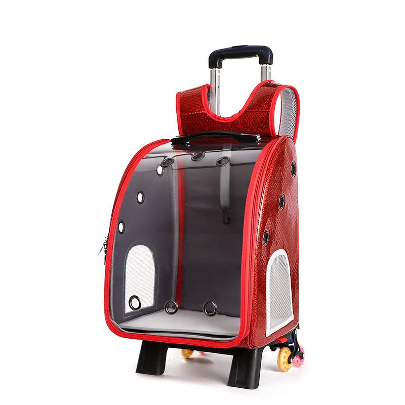 Blue transparent folding pet trolley carrier bag for small dogs and cats on wheels.