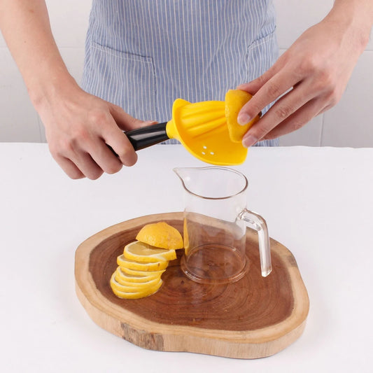Manual citrus juicer with 21.5cm height, PP construction, and ABS handle in silver finish