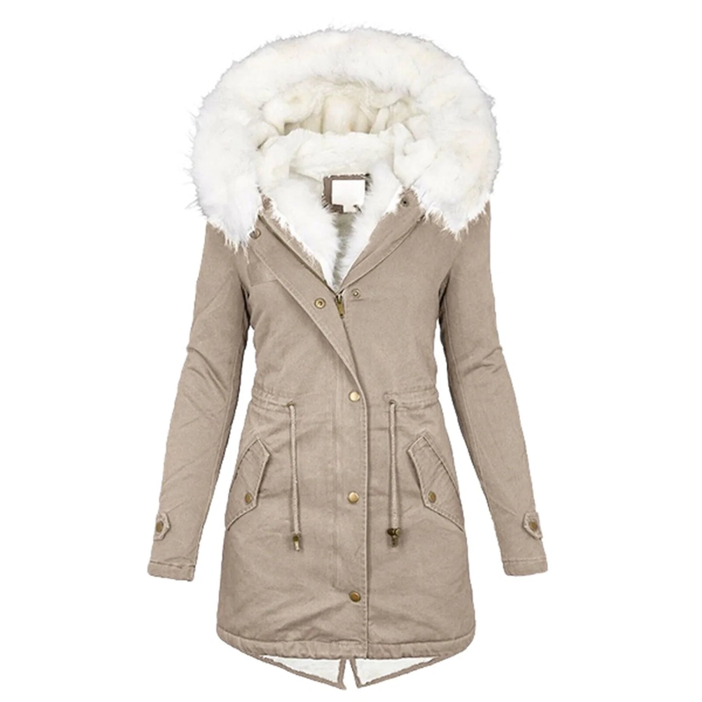 Women's cozy cotton padded jacket with a stylish white collar, available in multiple colors and sizes.
