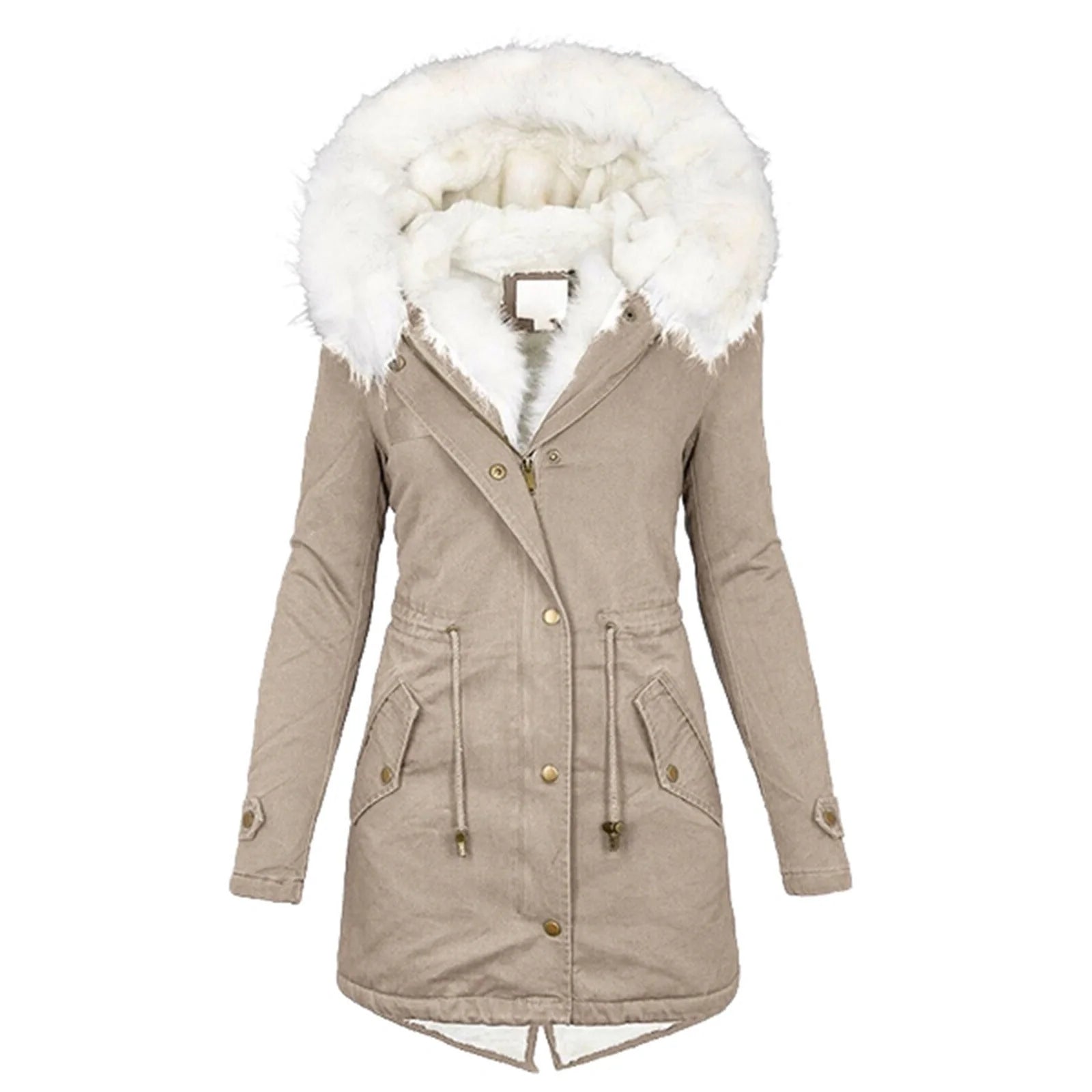 Women's cozy cotton padded jacket with a stylish white collar, available in multiple colors and sizes.