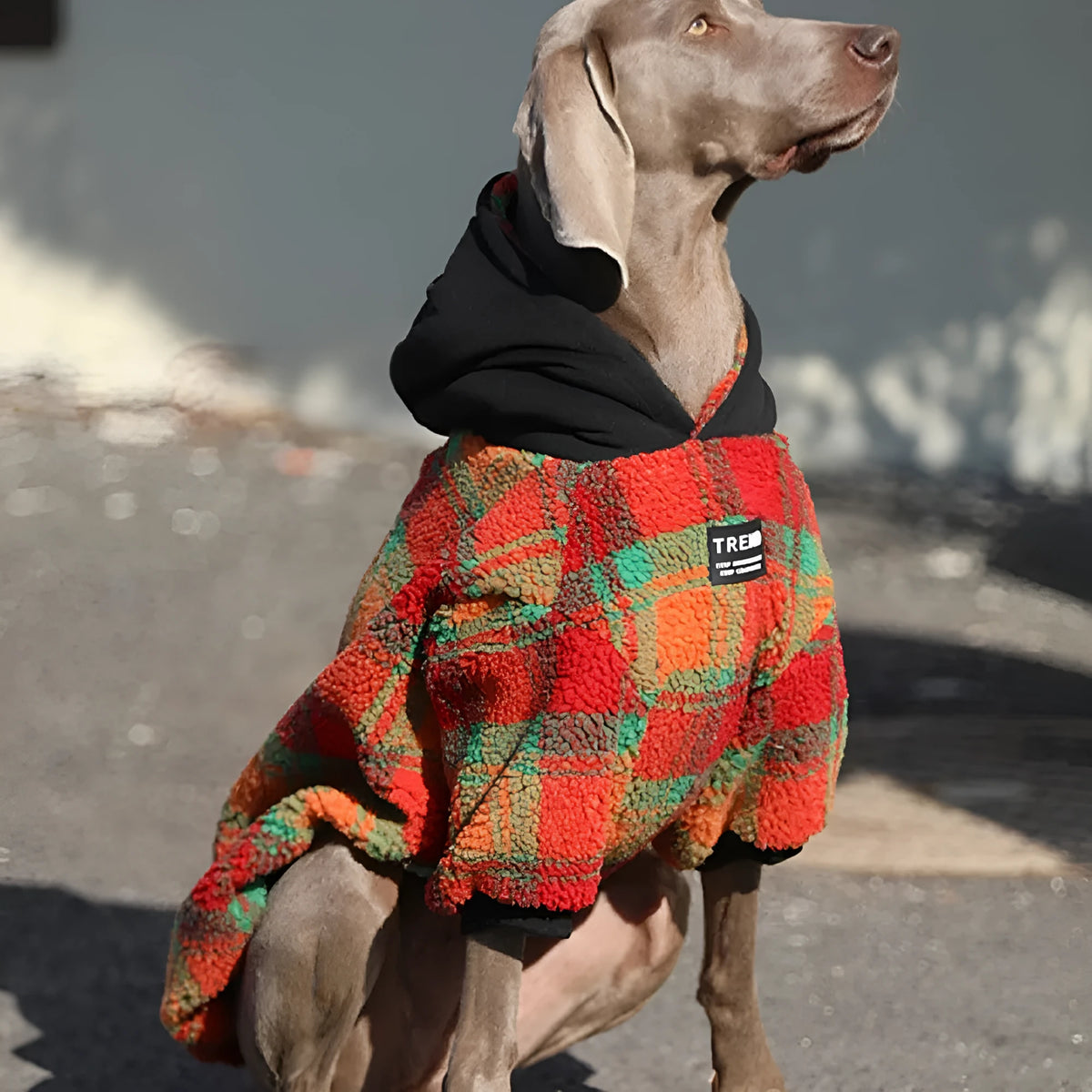 Thick warm large dog coat in orange grid or green stripe, sizes M-XXXL and No.7-12