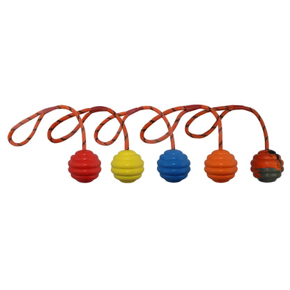 Rubber dog chew toy ball in assorted colours showing 6cm diameter and 30cm length