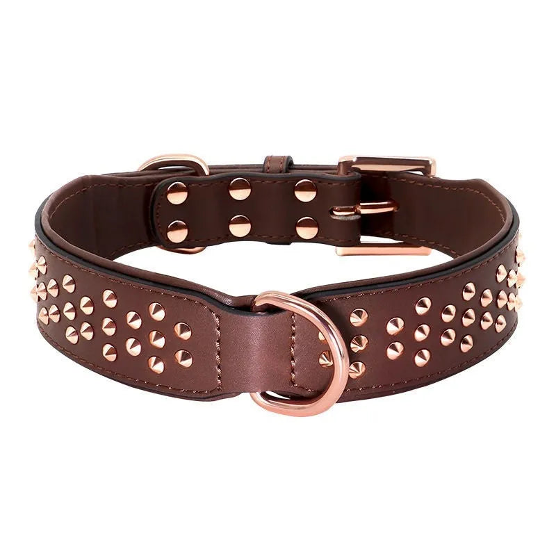 Leather dog collar with metal rivets in chocolate colour, showing rivet spacing and buckle detail
