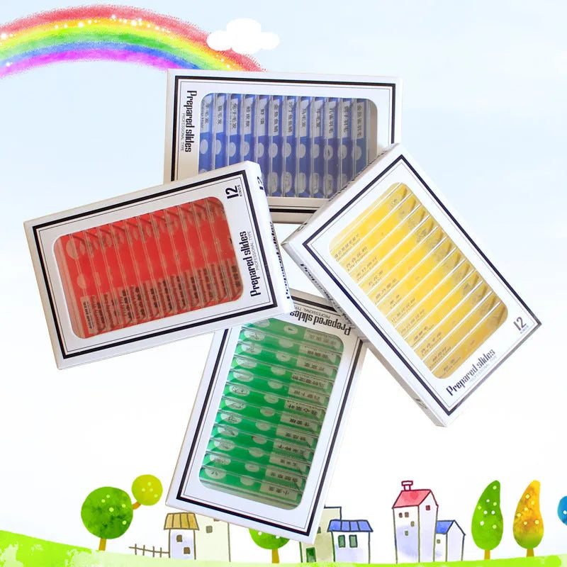 Set of coloured plastic microscope slides for children with prepared plant and animal specimens.