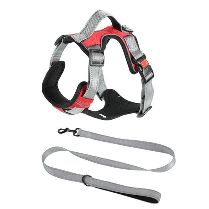 Polyester dog vest harness with hand-holding rope attachment in multiple colour options