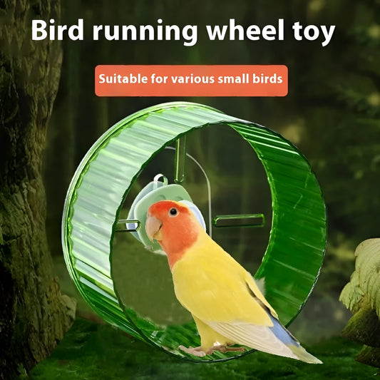 Plastic bird treadmill running wheel toy in transparent, green, grey, orange or purple colours for cage exercise