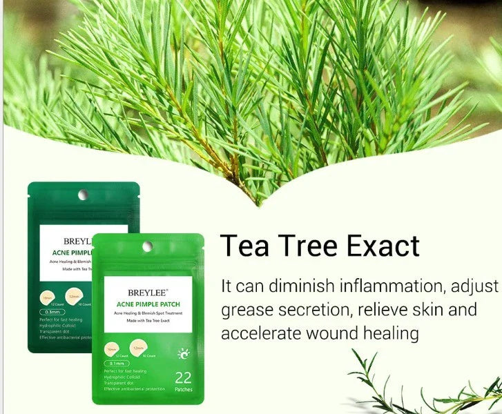 Tea Tree Acne Patches: Transparent, Ultra-Thin Design to Effectively Treat Blemishes and Fade Marks