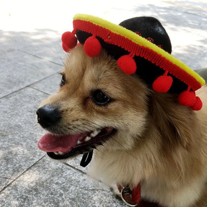 Mexican style cloth pet hat with 17cm diameter in red ball or brown lace options