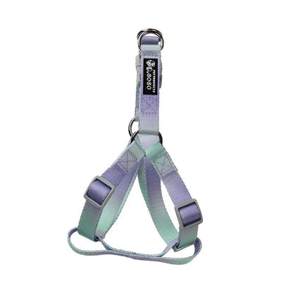 Gradient colour nylon dog leash showing pink-blue colour transition with metal attachment clip