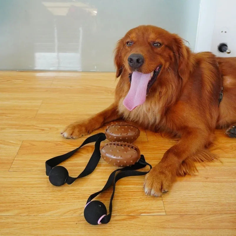 Coffee bean shaped brown TPR rubber dog chew toy with a white knotted rope attached.