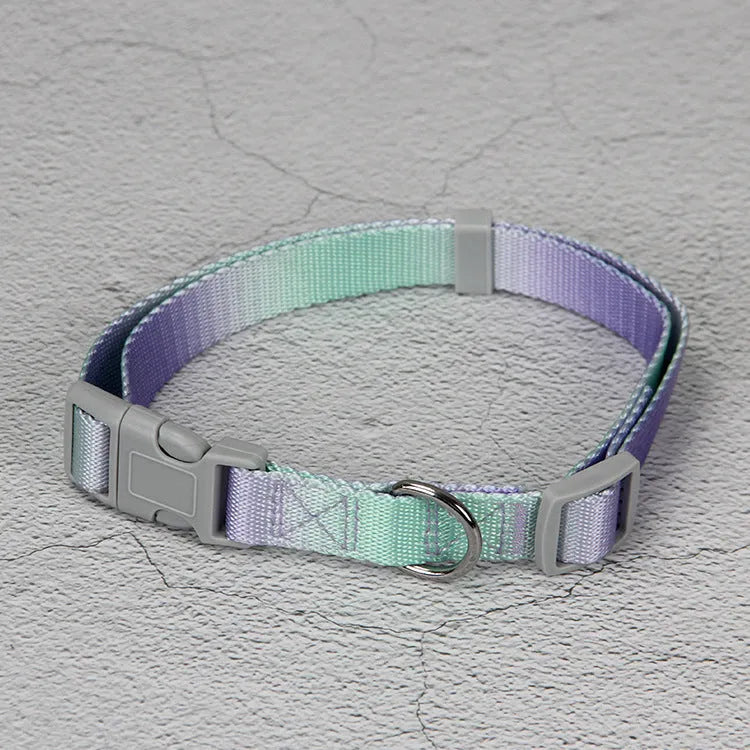 Gradient colour nylon dog leash showing pink-blue colour transition with metal attachment clip