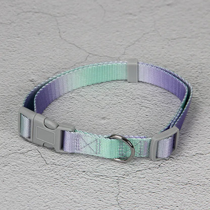 Gradient colour nylon dog leash showing pink-blue colour transition with metal attachment clip
