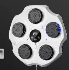 Home Fitness Intelligent Training Music Boxing Wall Target with Bluetooth connectivity