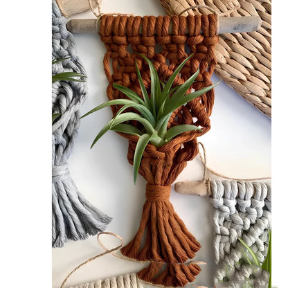 Hand-woven cotton macrame plant hanger with 15cm wooden basket displaying air plant
